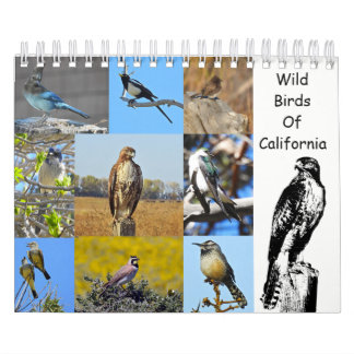 Calendar, wildlife, wild birds of California Calendar