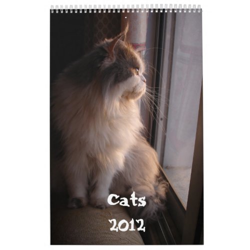 Calendar with cats _ Customized