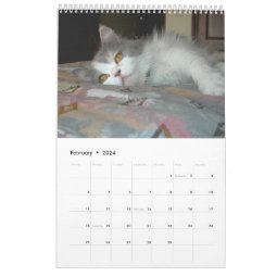 Calendar with cats - Customized | Zazzle