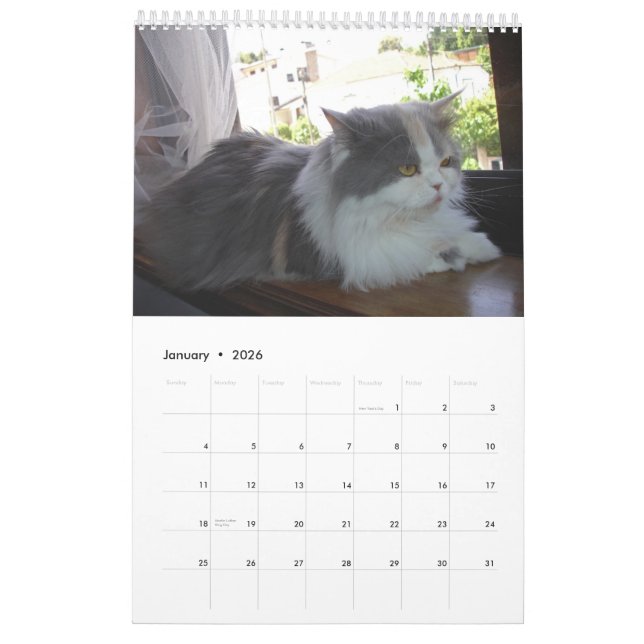 Calendar with cats - Customized (Jan 2026)