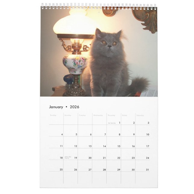 Calendar with cats - Customized (Jan 2026)