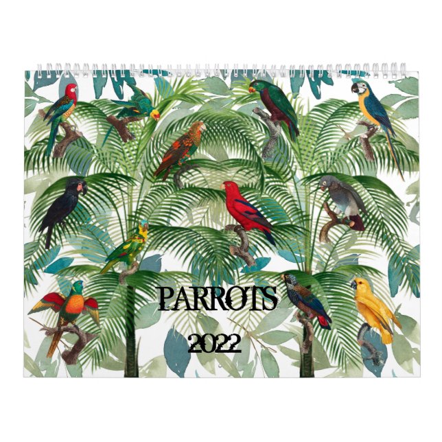 Calendar with Tropical Parrots (Cover)