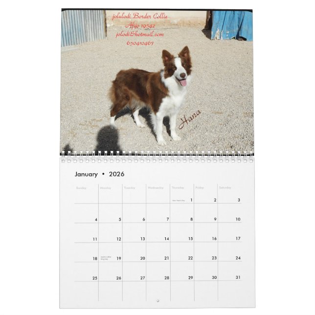 Calendario Calendar (Jan 2026)