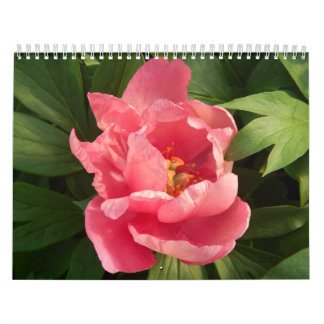Calendario con fotografía de flores en color calendar