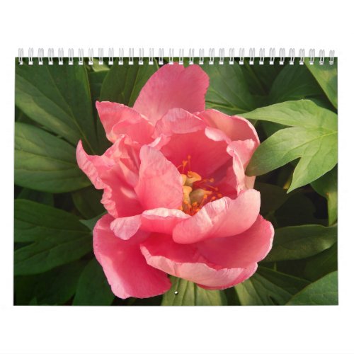 Calendario con fotografa de flores en color calendar