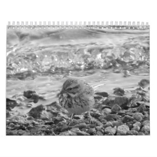 Calendario con fotos de pájaros en blanco y negro calendar