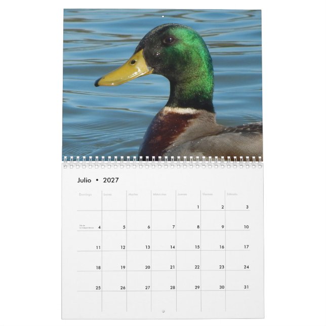 Calendario con fotos de patos y gansos en color calendar (Jul 2027)