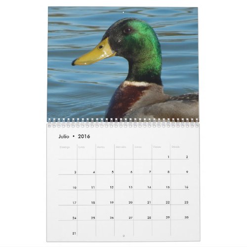 Calendario con fotos de patos y gansos en color calendar