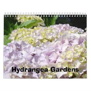 Calendars Photography Pink Blue Hydrangea Gardens