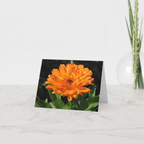 Calendula flower greeting card