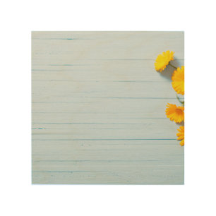 Calendula Flowers: Blue Wooden Background Wood Wall Art