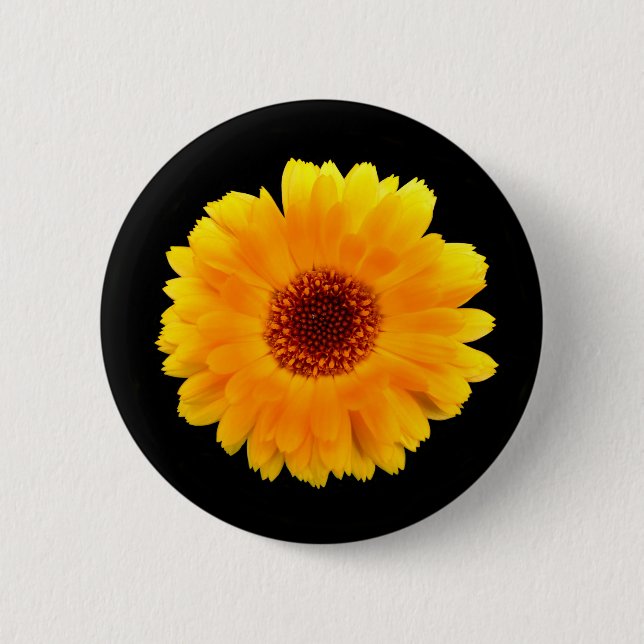 Calendula Officinalis Badge Button (Front)