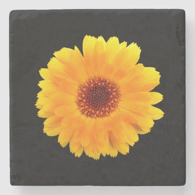 Calendula Officinalis Stone Coaster (Front)