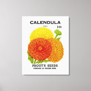 Calendula Vintage Seed Packet Canvas Print