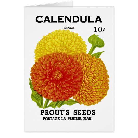 Calendula Vintage Seed Packet Cards (Front)