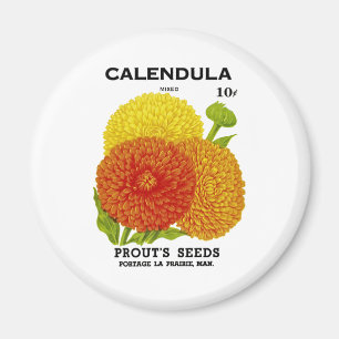 Calendula Vintage Seed Packet Magnet