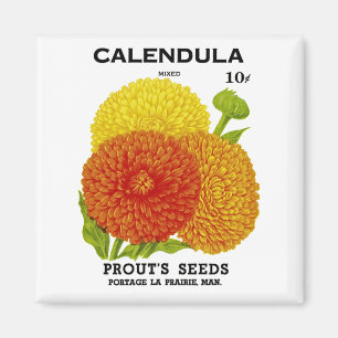 Calendula Vintage Seed Packet Magnet
