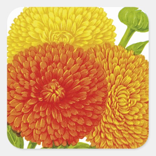 Calendula Vintage Seed Packet Square Sticker