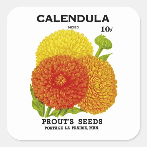 Calendula Vintage Seed Packet Square Sticker