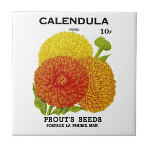 Calendula Vintage Seed Packet Tile