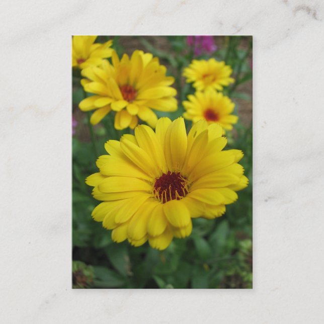 Calendulas ATC Business Card (Front)