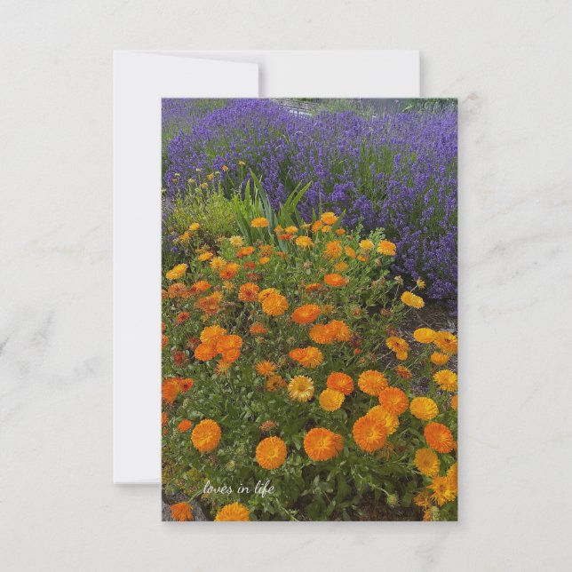 Calendulas & Lavender Note Card (Front)