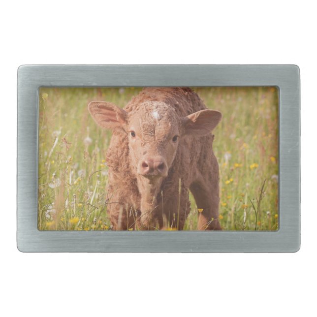 calf-7902 rectangular belt buckle (Front)