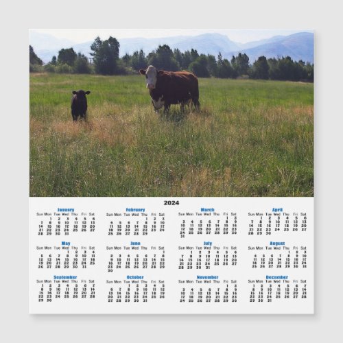 CALF AND COW 2024 CALENDAR CARD Gabriel Angel Design