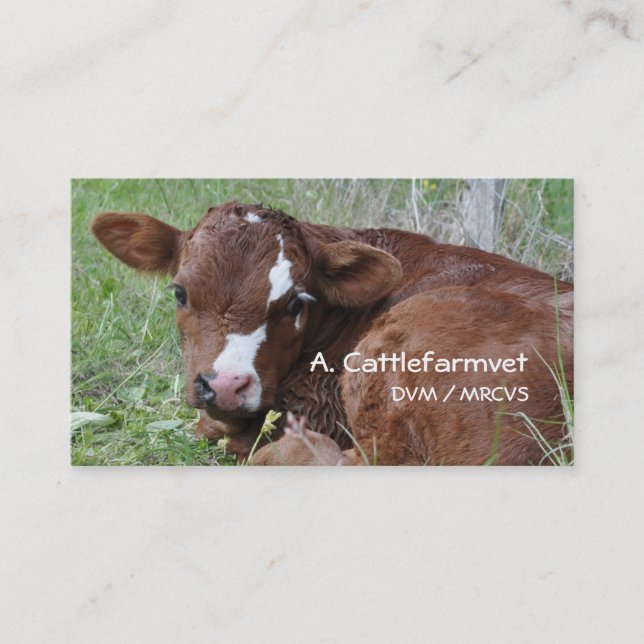 Calf business card (Front)