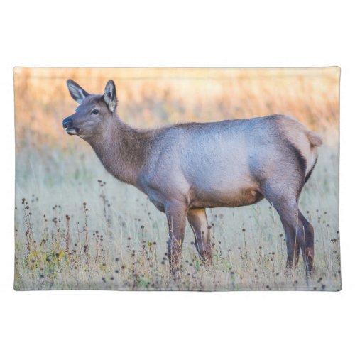 Calf Elk  Madison Junction Wyoming Cloth Placemat