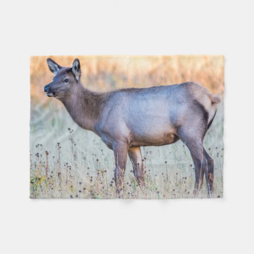 Calf Elk  Madison Junction Wyoming Fleece Blanket