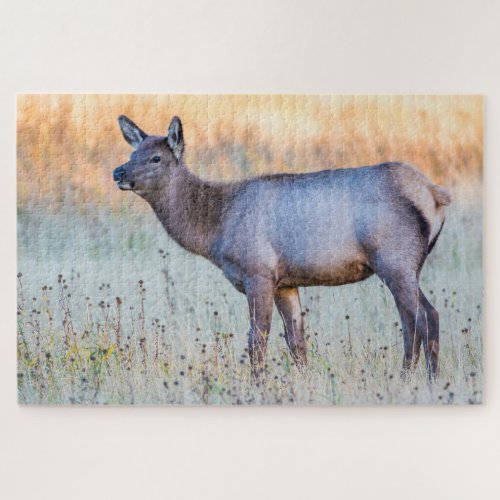 Calf Elk  Madison Junction Wyoming Jigsaw Puzzle
