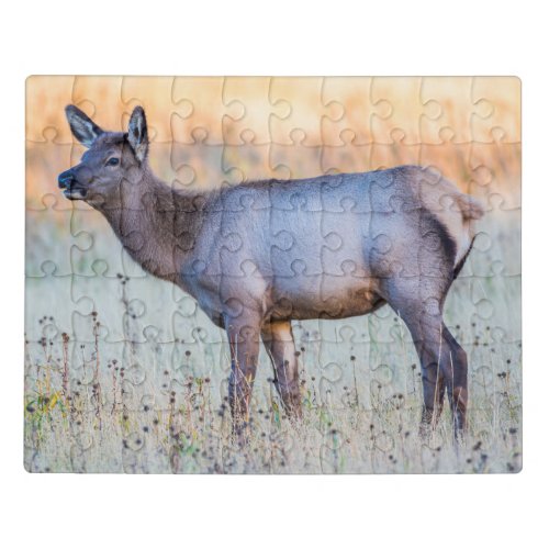 Calf Elk  Madison Junction Wyoming Jigsaw Puzzle