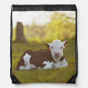 Calf Resting Drawstring Bag