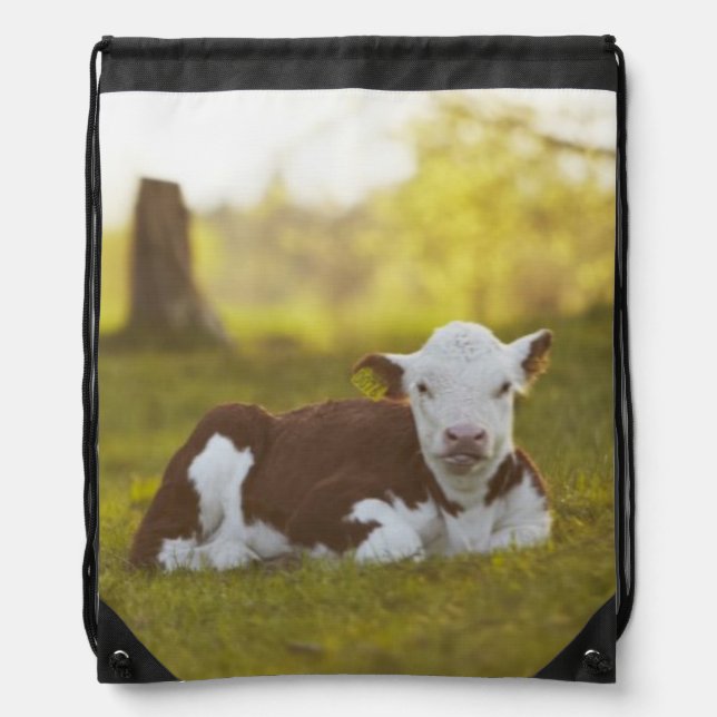 Calf Resting Drawstring Bag (Front)