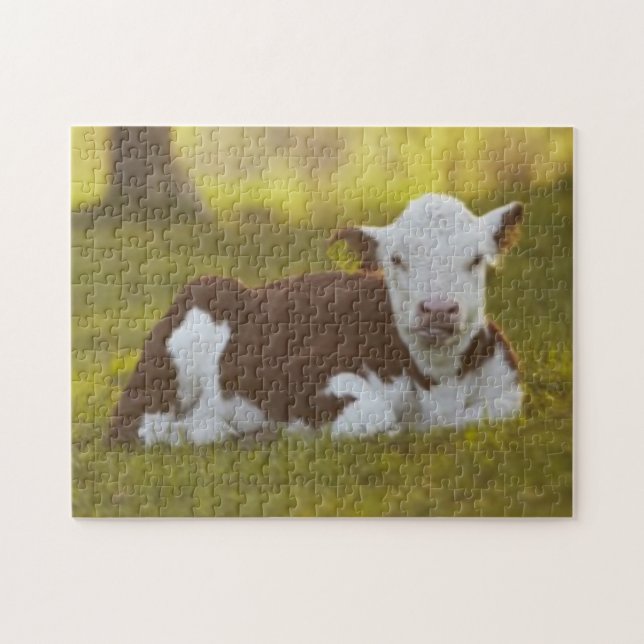 Calf Resting Jigsaw Puzzle (Horizontal)