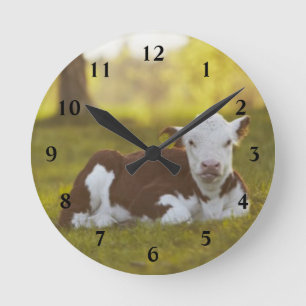Calf Resting Round Clock