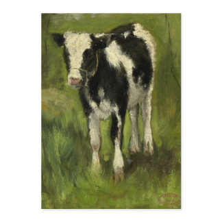 Calf, Spotted Black and White | Geo Poggenbeek Cards