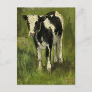 Calf, Spotted Black and White Geo Poggenbeek Postcard