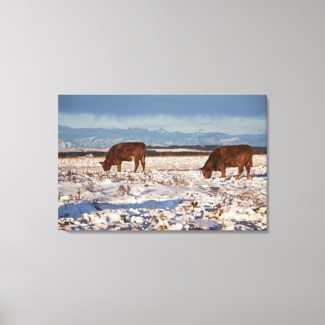 calgary, alberta, canada 2 canvas print (Front)