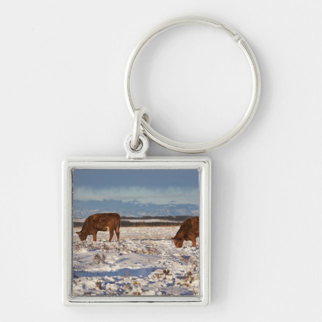 calgary, alberta, canada 2 keychain (Front)