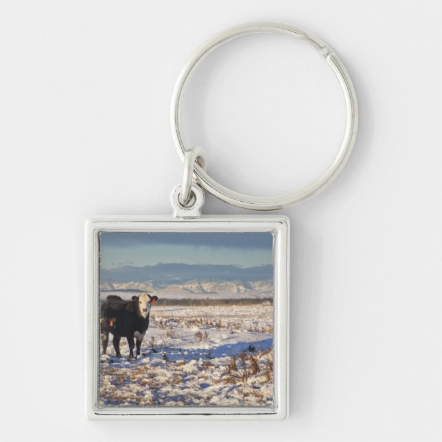 calgary, alberta, canada keychain (Front)