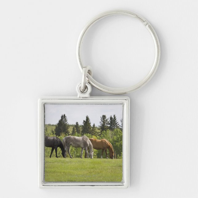 Calgary, Alberta, Canada Keychain (Front)