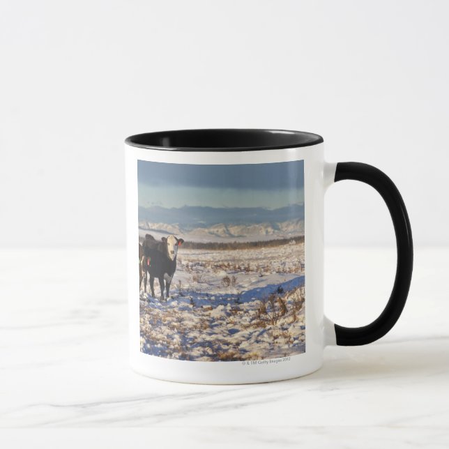 calgary, alberta, canada mug (Right)