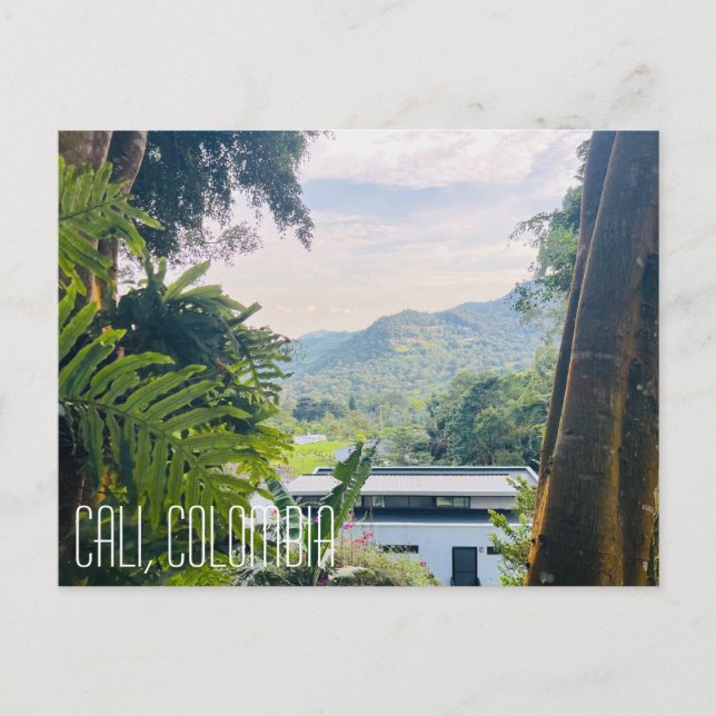 CALI COLOMBIA, jungle Postcard (Front)