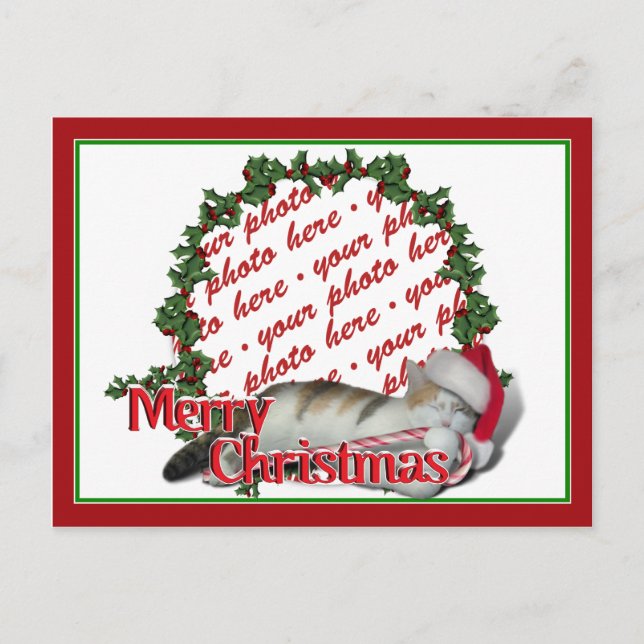 Cali the Calico Christmas Cat Photo Frame Holiday Postcard (Front)