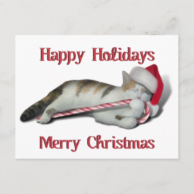 Cali, the Candy Cane Kitty Postcard (Front)