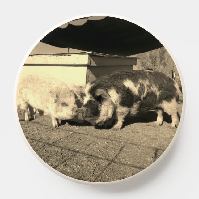 Calico and Dobby Pop Socket!  PopSocket (Popsocket)