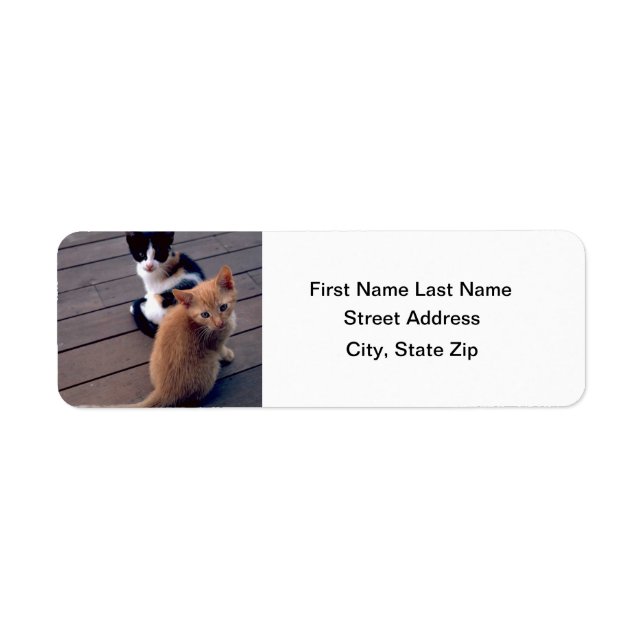 Calico and Orange Kittens Label (Front)