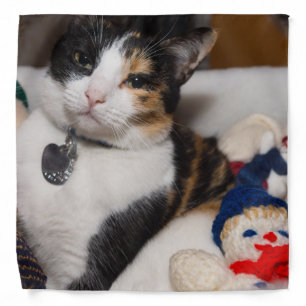 Calico And Snowmen Bandana